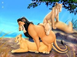 balls disney feline female female_feral feral group group_sex king lion lioness male nala orgy royalty scar scar_(the_lion_king) sex straight the_lion_king vagabundo yuri