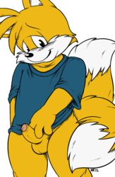 anthro canine clothes fox fur furry furry_tail male male_only multiple_tails penis roarey_raccoon sega shirt sonic_(series) tail tails