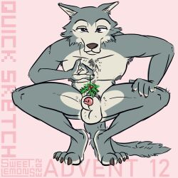 2023 4_toes animal_genitalia animal_penis anthro armpit_hair balls beastars bedroom_eyes blue_body blue_fur body_hair brown_nose canid canine canis cheek_tuft chest_hair christmas claws crouching dark_hair dark_nose detailed_eyes digital_drawing_(artwork) digital_media_(artwork) digital_painting_(artwork) facial_tuft feet festive fingers fluffy fluffy_tail fur fur_markings genitals grey_body grey_fur hair half-closed_eyes hand_on_leg hand_on_thigh hi_res holding_mistletoe holding_object holidays inner_ear_fluff legoshi_(beastars) light_body light_fur long_tail looking_at_viewer male mammal markings mistletoe multicolored_body multicolored_fur muscular muscular_anthro muscular_male narrowed_eyes nipples paws penis pink_background plant prick_ears pubes seductive shaded signature simple_background simple_coloring simple_eyes simple_shading smile solo solo_focus spread_legs spreading sweet.lemons tail tan_body tan_fur thick_thighs toes tuft two_tone_body two_tone_fur wolf