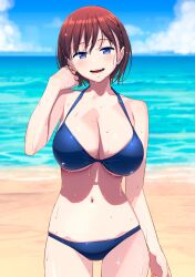 1girls ai-chan_(tawawa) beach big_breasts bikini blue_bikini blue_eyes blush breasts brown_hair getsuyoubi_no_tawawa happy large_breasts looking_at_viewer smile solo wet