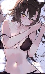 2023 animal_ears arknights black_bra black_panties blush bra breasts brown_hair collarbone female front-hook_bra hi_res large_breasts long_hair looking_at_viewer lying mole_above_eye navel on_back panties penance_(arknights) plastic_night_q pov solo_focus stomach underwear underwear_only wolf_ears wolf_girl yellow_eyes