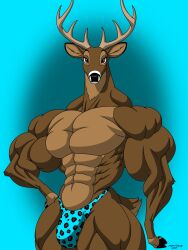 abs anthro antlers biceps big_muscles brown_eyes brown_fur buck bulge deer doodledan86 speedo