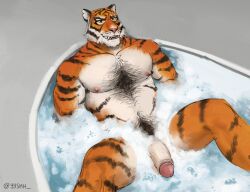 1boy animal_ears bara bathing bathtub chest_tuft completely_nude feet_out_of_frame flaccid fortnite from_above furry furry_male hairy large_pectorals male_focus male_only male_pubic_hair mature_male muscular muscular_male nude orange_fur oscar_(fortnite) pectorals penis pubic_hair short_hair smile solo spread_legs thick_chest_hair thick_eyebrows tiger_boy tiger_ears uncensored white_fur yeshh_(y3shh)