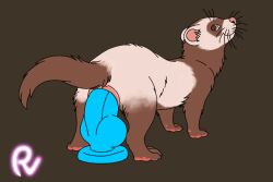 Ambiguous Gender Rule 34 Image