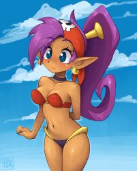 pirate shantae from shantae by vburner