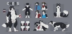 Chess (Mintyderg) Rule 34 Image