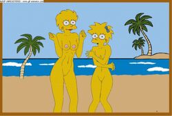 animated female female_only gif human lisa_simpson maggie_simpson multiple_females the_simpsons yellow_body