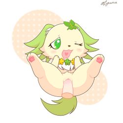 2025 anthro brown_nose butterfly_accessory canid canine canis chibi clitoral_hood clitoris colored digital_drawing_(artwork) digital_media_(artwork) disembodied_penis domestic_dog female genitals green_ears green_eyes green_tail heart_symbol hi_res jewelpet jewelry male mammal neck_tuft necklace open_mouth papillon pawpads penis peridot_(jewelpet) pink_pawpads pussy sanrio sega_fave sex simple_background solo spread_legs spreading tail toy_dog tuft zyuuniie