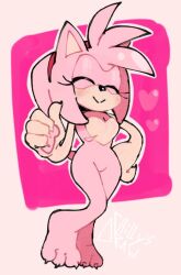 amy rose from sega by drawchill s