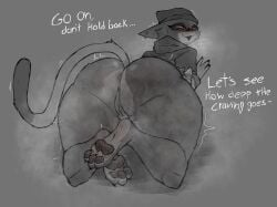 absurd_res anthro anus ass beanie big_butt blush bodily_fluids bottomless calico_cat clothed clothing dialogue domestic_cat emanata epic_games felid feline felis female fortnite fuzzycreature genitals hat headgear headwear hi_res huge_butt looking_back mammal meow_skulls pawpads paws pussy solo sweat sweaty_butt tail