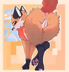 anus ass canid canine canis epaoh female feral fox genitals hi_res mammal pussy solo tail true_fox