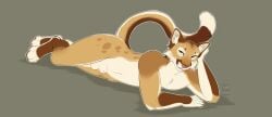 2025 absurd_res animal_genitalia anthro balls bedroom_eyes biped brown_body brown_fur cougar felid feline fully_sheathed fur furry genitals green_eyes hi_res male male_anthro mammal narrowed_eyes rikki_(purrma) seductive sheath simple_background solo sunliine white_body white_fur