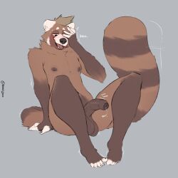 absurd_res ailurid anthro balls blush brown_body brown_fur feet flustered foreskin fur genitals grey_background hand_on_face hi_res humanoid_feet humanoid_genitalia humanoid_penis male mammal minedoo minedoo_(character) nipples nude_anthro nude_male penis plantigrade red_panda shy simple_background sitting solo tail tail_motion tailwag throbbing throbbing_penis uncircumcised