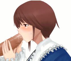 animated blush brown_hair fellatio gif large_penis oral penis profile red_eyes rozen_maiden shiro_inu short_hair souseiseki sweatdrop