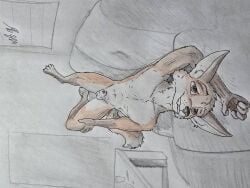 absurd_res animal_genitalia anthro brown_eyes canid canine canine_genitalia fox furniture genitals hi_res male mammal nude presenting smile smiling_at_viewer sofa solo solo_in_panel table tail traditional_media_(artwork) window wolfyalex96