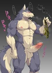 absurd_res anthro anthro_only aroused balls bara big_penis black_nose blush bodily_fluids breath canid canine canis claws clothing erection finger_claws fluffy fluffy_tail fur furry genital_fluids genitals grey_body grey_fur hi_res humanoid_genitalia japanese_text jockstrap kemono kemonokoko male male_only mammal multicolored_body multicolored_fur muscular muscular_anthro muscular_male musk nipples nude nude_anthro nude_male precum simple_background solo tail text thick_penis two_tone_body two_tone_fur underwear wolf yaoi