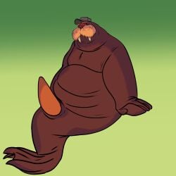 2025 absurd_res anthro brown_eyes clothing cross-eyed disney genitals gradient_background green_background hat headgear headwear hi_res male male_only mammal marine moobs nude penis pinniped r4c00n simple_background sitting slightly_chubby solo tusks walrus zootopia zootopia_2