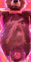 animal_genitalia animal_penis anthro bottomwear bottomwear_down brown_body brown_fur canine_genitalia canine_penis clothed clothing clothing_lift fur genitals guardians_of_the_galaxy hi_res mammal marvel orange_background pants pants_down partially_clothed penis penis_tip presenting procyonid raccoon rocket_raccoon sharp_teeth shaved_fur sheath shirt shirt_lift sidekick simple_background snout teeth topwear whiskers