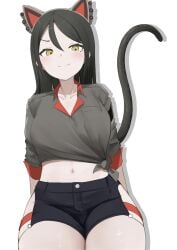 big_breasts black_hair black_shorts cat_ears cat_tail catgirl clothes_lift daebom female grey_shirt looking_at_viewer mischievous_smile red_collar shorts slight_smile thick_thighs tights war_thunder yellow_eyes