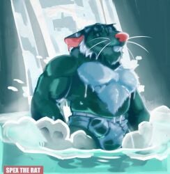 2025 anthro balls_outline bathing brok_the_investigator bulge closed_eyes clothing cowcat_games detailed_bulge genital_outline hi_res male mammal murid murine penis_outline rat rodent smile solo spectral-bat squealers_chief steam underwear water waterfall
