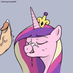 equine erection female friendship_is_magic hair horn horse jobo37 my_little_pony oral oral_sex penis pony princess_cadance_(mlp) sex