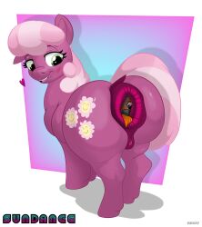2025 absurd_res anal anal_vore animal_genitalia animal_pussy anus artist_name blue_background border bunnyboi0108 cheerilee_(mlp) cutie_mark dated earth_pony equid equine equine_genitalia equine_pussy female feral friendship_is_magic genitals hair hasbro heart_symbol hi_res horse looking_back mammal multicolored_hair my_little_pony pink_body pink_hair pony puffy_anus pussy simple_background smile text two_tone_hair vore white_border