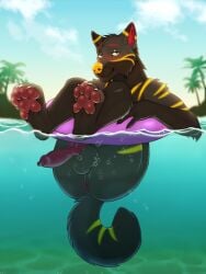 absurd_res air_bubble animal_genitalia animal_penis anthro anus balls bubble canid canine canine_genitalia canine_penis claws elbow_in_water eyebrows feet fenn.perrox floatie foot_focus fur genitals green_eyes grey_body grey_fur half-closed_eyes hi_res inflatable jack_al-inpu_(flusspuss) knot knotted_penis male mammal markings narrowed_eyes nude palm_tree partially_submerged pawpads penis plant red_ear_fluff red_eyebrows seductive sky smile smiling_at_viewer smirk smirking_at_viewer solo tail_in_water toe_claws tree water water_ripple waterline_view yellow_markings yellow_nose