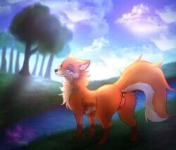 anus ass astralia_(art) canid canine cloud female feral fox fur genitals grass hi_res leg_markings mammal markings orange_body orange_fur plant purple_eyes pussy rear_view river sky socks_(marking) solo solo_focus tail tree water watermark white_body white_fur