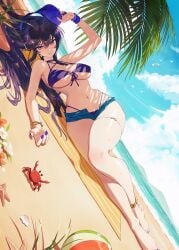 alternate_costume anklet ayra_(fire_emblem) ball barefoot beach beachball bikini bird black_hair bracelet breasts cloud commission crab denim denim_shorts female fire_emblem fire_emblem:_genealogy_of_the_holy_war hat jewelry long_hair looking_at_viewer lying medium_breasts nail_polish navel ocean on_side outdoors purple_bikini purple_eyes purple_nails seagull seashell shell shorts sky solo sumustard swimsuit thigh_strap underboob wristband