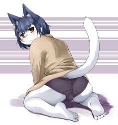 2018 5_toes anthro balls_outline blue_hair blush brown_eyes bulge clothing detailed_bulge domestic_cat embarrassed feet felid feline felis femboy fur genital_outline hair happy japanese_description kneeling looking_back male mammal nana_(artist) overweight overweight_male raised_tail soles solo spread_legs spreading tail toes topwear underwear white_body white_fur