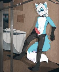 alley anthro artic balls blue canine collar cum dripping fur furry male_only penis wolf wolfy