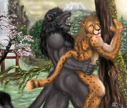 ajani anal anal_sex anthro anthro_on_anthro anthro_only anthro_penetrating_anthro balls black cheetah couple detailed_background ear_piercing fangs feline from_behind fur furry gay lake lion male mountain oriental penetration piercing roaring sex shrine tree waterfall wood