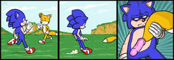 dildo hedgehog male_only sega sex_toy sonic_(series) sonic_the_hedgehog sonic_the_hedgehog_(series) sonic_the_hedgehog_2 tails