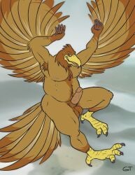 3_toes 5_fingers accipitrid accipitriform animal_genitalia anthro armpit_hair avian avian_feet balls beak biped bird body_hair brown_body brown_feathers claws cloud detailed_background digital_drawing_(artwork) digital_media_(artwork) eagle erection feathers feet fingers flying genitals glans gloves_(marking) gtskunkrat hi_res humanoid_genitalia humanoid_hands humanoid_penis hybrid_genitalia hybrid_penis landscape male male_anthro markings midair non-mammal_balls nude nude_anthro nude_male outdoor_nudity outside overweight overweight_anthro overweight_male penis piercing pink_penis sheath sheathed_humanoid_penis signature smile smiling_at_viewer solo tail tail_feathers toe_claws toes tongue tongue_out wings yellow_beak yellow_feet