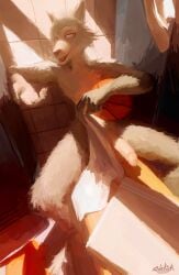 anthro ball basketball_(ball) beastars big_penis black_nose canid canine canis fangs foreskin fur genitals grey_body grey_fur hi_res legoshi_(beastars) locker_room male mammal nude nude_anthro nude_male penis sidekick sitting solo teeth tongue towel uncircumcised wolf