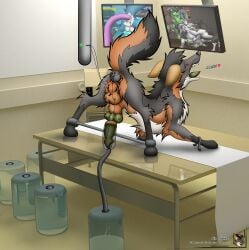 animal_genitalia balls bondage bondage bound canid canine canine_genitalia ejaculation electrostimulation feral fin_the_fox forced forced_orgasm fox genitals grey_fox hi_res knot laboratory male mammal orgasm penile penis_milking raised_tail sheath solo spread_legs spreading srfx18 tail urocyon