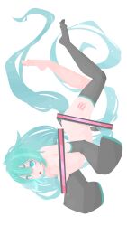hatsune miku from vocaloid by hara id 21