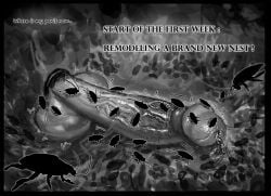 1futa balls black_and_white bug bugs cock cockroach english_text erect_penis erection futa_only futanari glory_hole glory_wall imminent_penetration imminent_rape imminent_sex insectophilia intersex monochrome penis precum raped scrotum sia_qua stuck stuck_in_wall testicles text trapped uncensored urethra urethral urethral_insertion urethral_penetration veiny_penis
