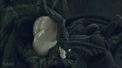 1boy 1girls 3d alien alien_(franchise) alien_girl alien_humanoid animated ass_eating big_breasts human_on_humanoid rayhuma rimjob rimming rimming_male tagme video xenomorph