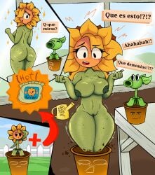 plants_vs_zombies plants_vs_zombies:_heroes pvz pvz_heroes solar_flare_(pvz) sunflower_(pvz)