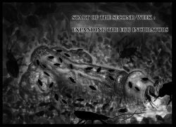 1futa balls black_and_white bug bugs cock cockroach english_text erect_penis erection futa_only futanari glory_hole glory_wall gore imminent_penetration imminent_rape imminent_sex insectophilia intersex monochrome penis precum raped scrotum sia_qua stuck stuck_in_wall testicles text trapped uncensored urethra urethral urethral_insertion urethral_penetration veiny_penis