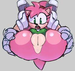 amy rose from sonic (series) by cragscleft