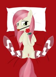 ball_gag bed earth_pony equine female friendship_is_magic gag green_eyes half-closed_eyes hooves my_little_pony pillow pink_hair pussy red_hair rose_(flower) roseluck_(mlp) solo spread_legs stockings tail two_tone_hair two_tone_tail