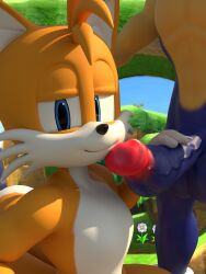 blue_eyes dick_on_face gay sonic_the_hedgehog_(series) tails_the_fox yellow_fur