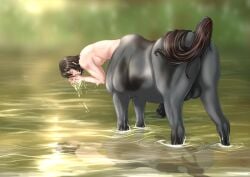 absurd_res balls centaur drinking equid equid_taur equine erection european_mythology genitals greek_mythology hi_res horse humanoid_taur male mammal mammal_taur mythology penis pink_phlox quadruped raised_tail solo tail taur