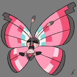 1boy anus blush bulge butterfly girly insect male meadow_vivillon nintendo penis pokemon sweat testicles video_games vivillon wings zeeman