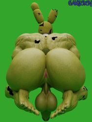 1boy animatronic anthro ass back_view balls big_butt camseven erection five_nights_at_freddy's five_nights_at_freddy's_3 fnaf fur furry furry_only gay humanoid male male_only muscular muscular_male penis presenting_ass presenting_butt rabbit robot scottgames springtrap