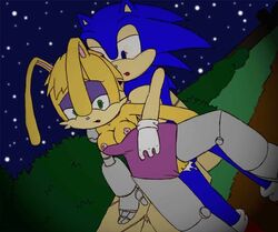 anthro bunnie_rabbot clothes color female fur furry hedgehog interspecies male night nude outdoors rabbit sex sonic_(series) sonic_the_hedgehog tagme telsa