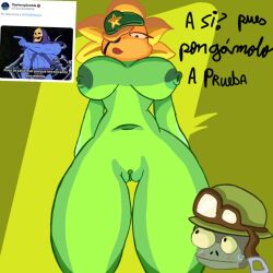 Foot Soldier (Pvz) Rule 34 Image