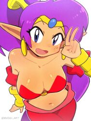 blue_eyes bracer breasts bushii_(bo0xhy) circlet cleavage collarbone dark-skinned_female dark_skin earrings female from_above highres jewelry large_breasts long_hair navel open_mouth pants pointy_ears ponytail purple_hair red_pants shantae shantae_(character) shantae_(series) shantae_advance:_risky_revolution solo v very_long_hair white_background